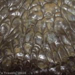 Lava drips in Harvey's Chocolate Cave in Lava Beds National Monument, California