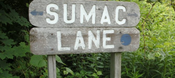 Arboretum Trail System at Kent Park