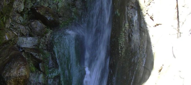Maidenhair Falls in a Desert Canyon