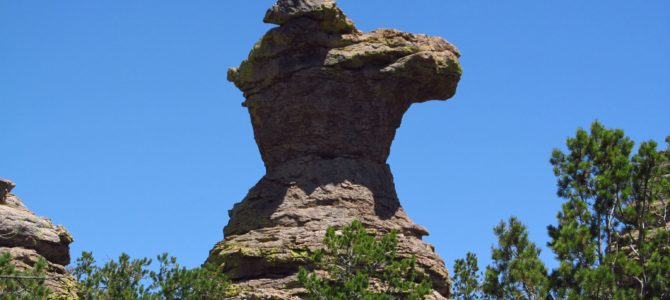 Chiricahua Formations: The Heart of Rocks