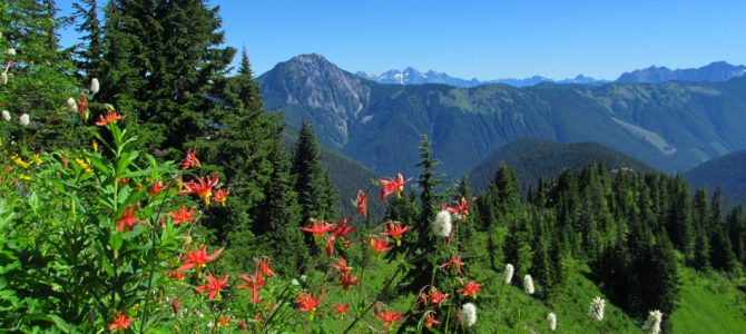 Canyon Ridge Trail – “Peak” into Canada