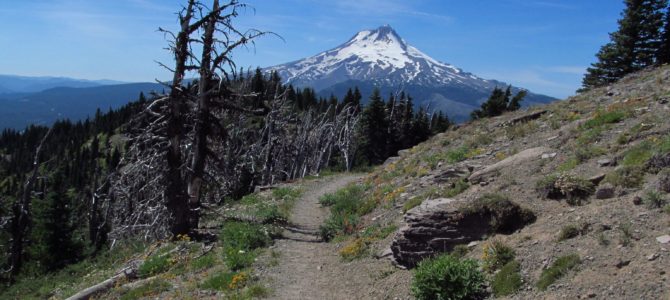 Judgement is Not the Answer to Creation’s Groans