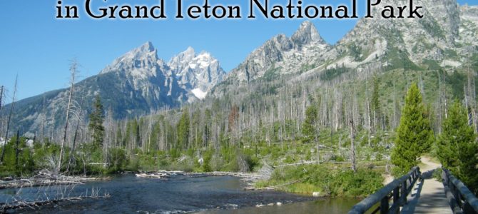 12 Best Day Hikes in Grand Teton National Park 12 Best Day Hikes in Grand Teton National Park