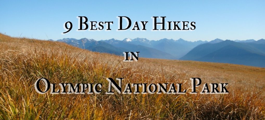 9 Best Day Hikes in Olympic National Park 9 Best Day Hikes in Olympic National Park