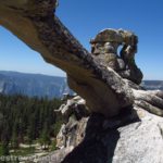 Under Indian Rock in Yosemite National Park, it's fun to look at the other nearby arch. California