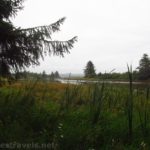 Along the Netul River Trail en route to Fort Clatsop, Oregon