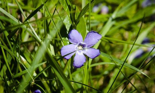 Nothing Ugly Nothing Ugly