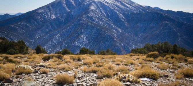 Death Valley Views from Wildrose Peak!