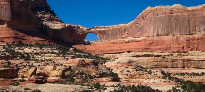 In Search of Kirk Arch In Search of Kirk Arch