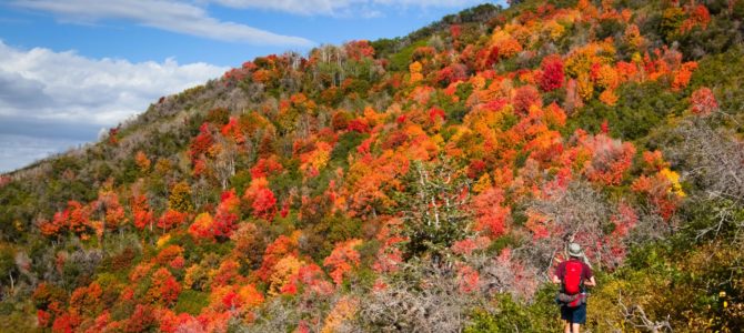 Sneak Peak: The Rest of the Trip!  (SLC, Sawtooths, Utah, Loveland Pass)