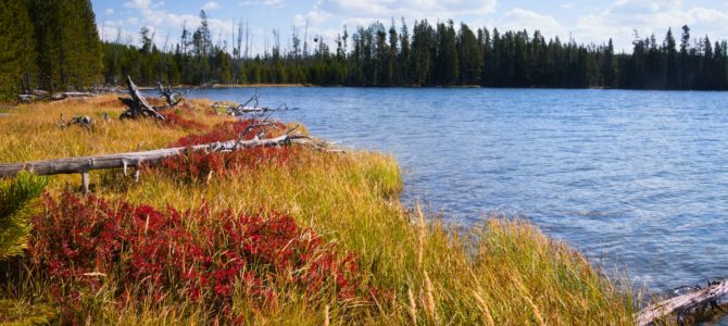 Ice Lake & Little Gibbon Falls