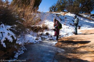 French Spring above the Maze District