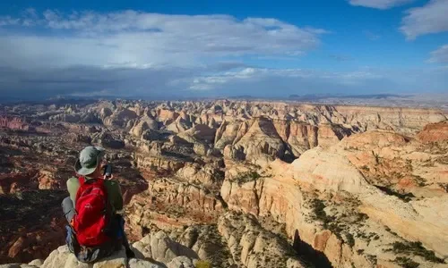 Climbing Fern’s Nipple Climbing Fern’s Nipple