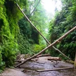 Hiking up Fern Canyon, Prairie Creek Redwoods State Park, California