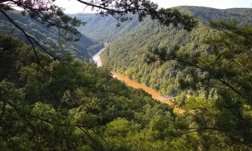 Canyon Rim Boardwalk Trail above New River Gorge Canyon Rim Boardwalk Trail above New River Gorge