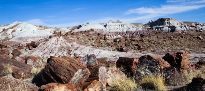 Exploring Petrified Forest and Death Valley – With Very Few Trails! Exploring Petrified Forest and Death Valley – With Very Few Trails!